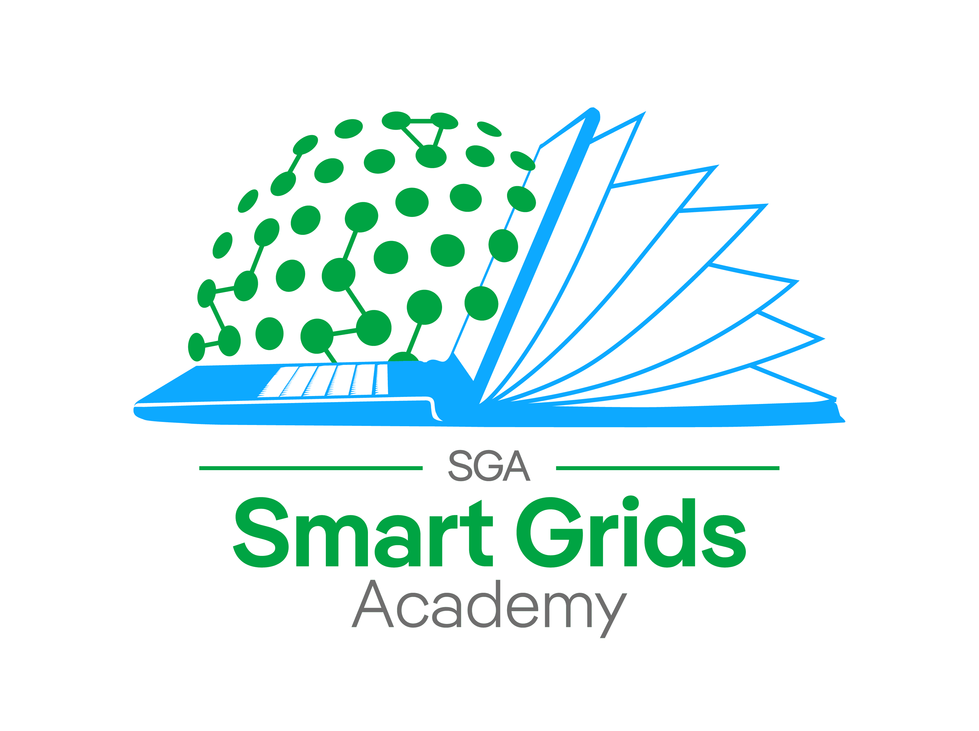 Smart Grids Academy